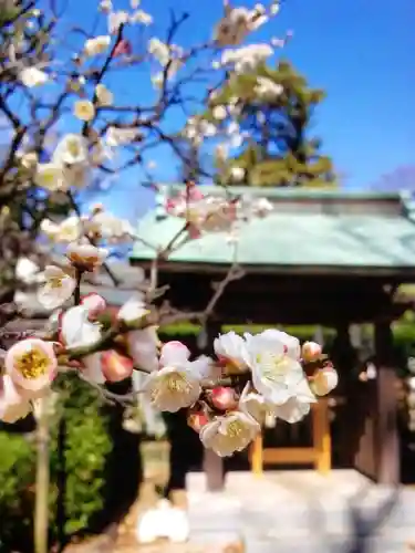 布多天神社の自然