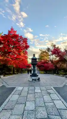 仁和寺(京都府)