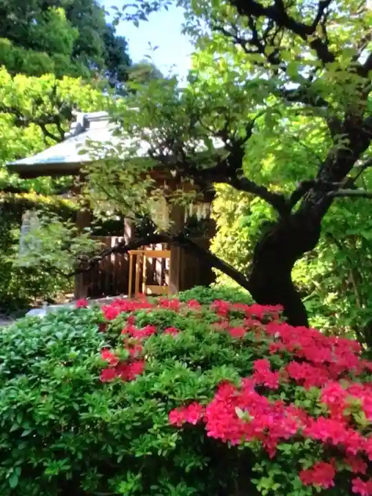 布多天神社(東京都)