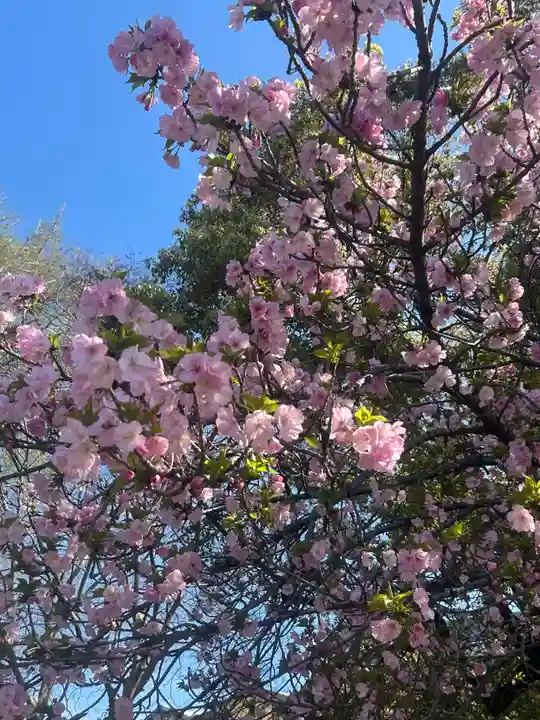 上野東照宮(東京都)