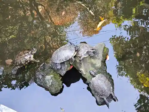 成田山川越別院(埼玉県)