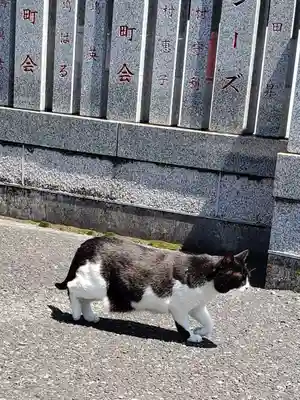 白金氷川神社(東京都)