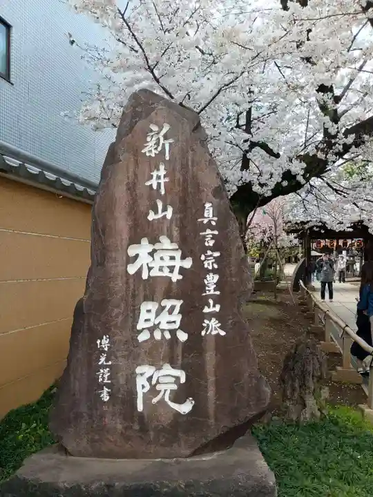 新井薬師(梅照院)(東京都)