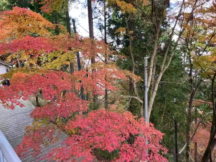 武蔵御嶽神社(東京都)
