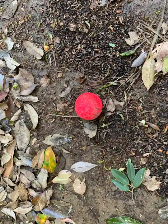 大杉神社(千葉県)