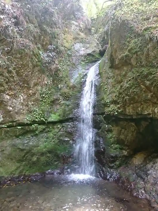 武蔵御嶽神社の自然