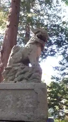 北海道神宮の狛犬