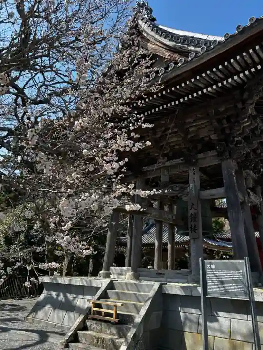 久遠寺の{uncategorized: "未分類", other: "その他", undefined: "問題あり", building: "その他建物", grave: "お墓", sacred_gate: "鳥居", guardian: "狛犬", statue: "像", buddha: "仏像", history: "歴史", nature: "自然", garden: "庭園", animal: "動物", pagoda: "塔", temizu: "手水舎", mountain_gate: "山門・神門", sanctuary: "本殿・本堂", subordinate: "末社・摂社", art: "芸術", scenery: "景色", jizo: "地蔵", ema: "絵馬", goshuin: "御朱印", omikuji: "おみくじ", items: "授与品その他", amulet: "お守り", goshuincho: "御朱印帳", eats: "食事", festival: "お祭り", votive_dance: "神楽", shichigosan: "七五三参", wedding: "結婚式", experience: "体験その他", initially: "初詣", around: "周辺", anti_infection: "感染症対策"}