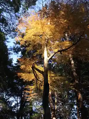 武田八幡宮(山梨県)