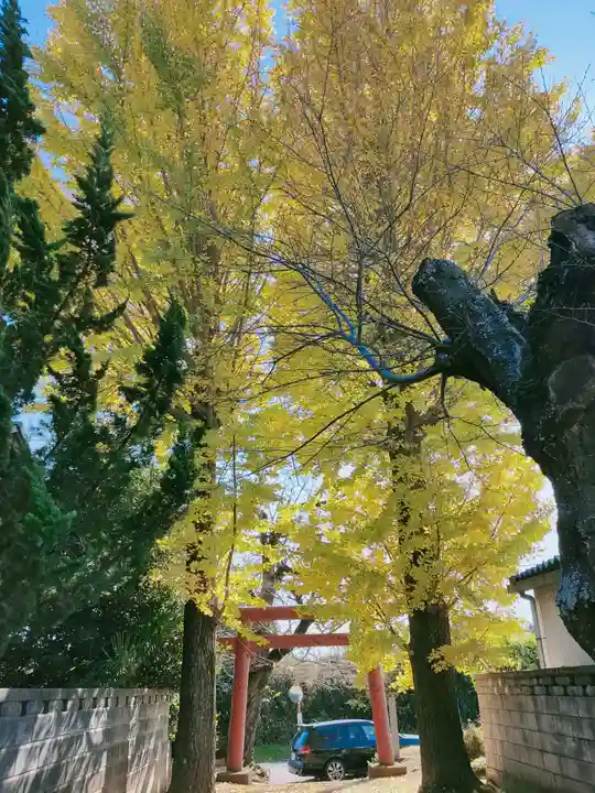 雷水神社の鳥居