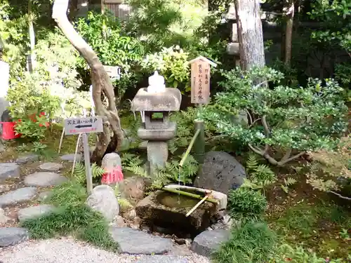 六道珍皇寺の庭園