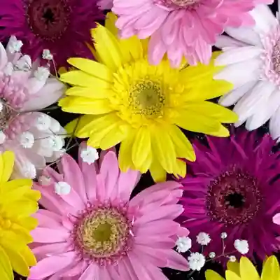 帯廣神社の手水舎