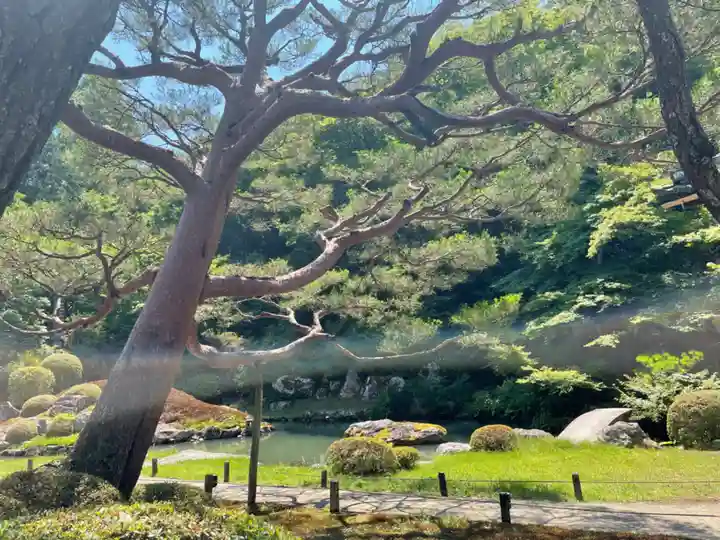 青蓮院門跡(京都府)