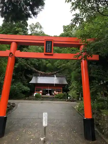 巖島神社の鳥居