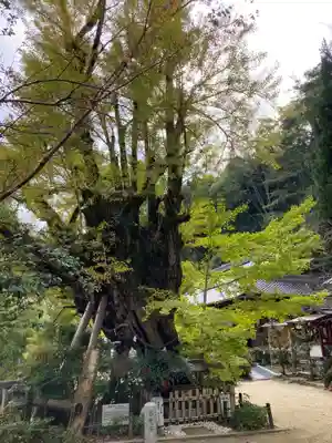 葛城一言主神社のその他建物