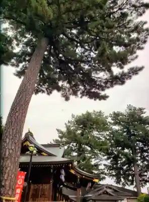 中野沼袋氷川神社(東京都)