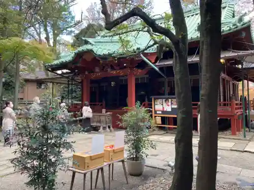 赤坂氷川神社(東京都)