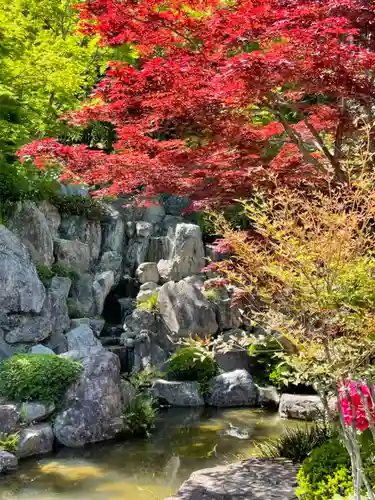 宝徳寺の庭園