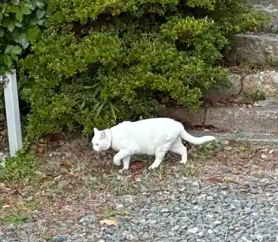 神咒寺(兵庫県)