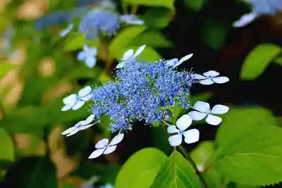 菅生神社(愛知県)