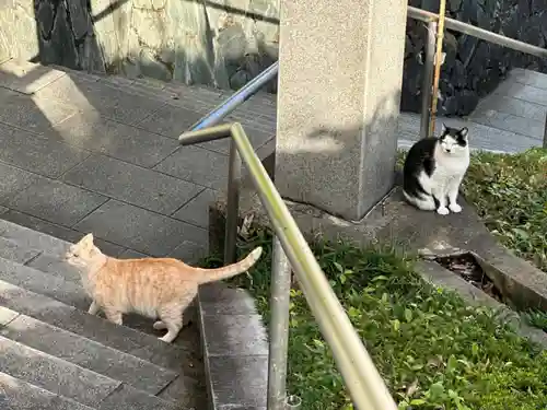王子神社(徳島県)