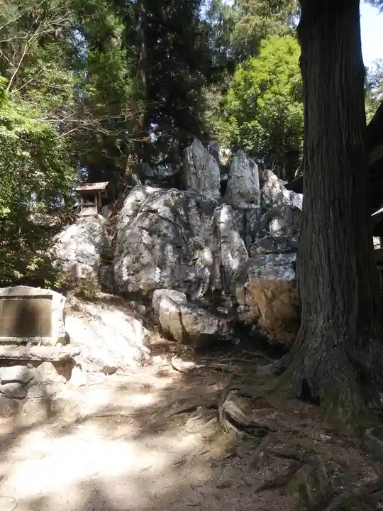 鹿島大神宮の自然