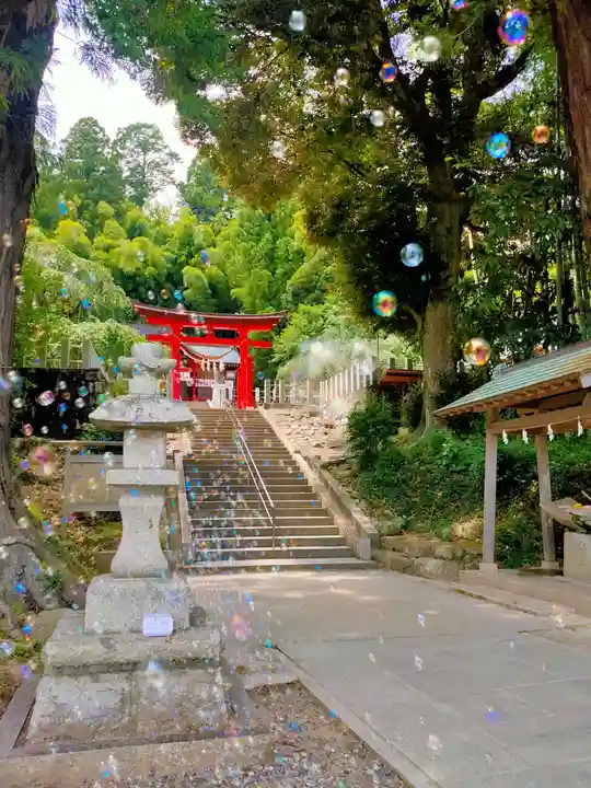 小川諏訪神社の鳥居