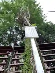 富部神社の自然