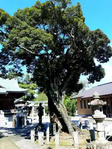 春日神社の自然