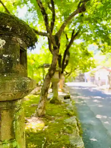 法華寺(岐阜県)