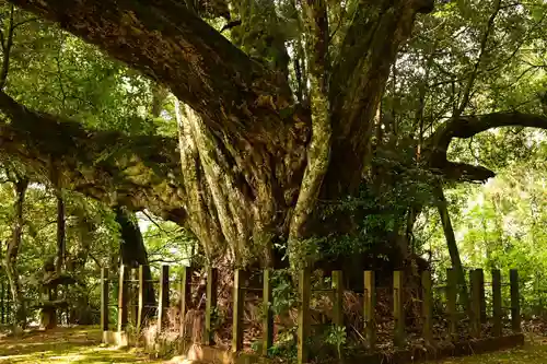 志多備神社(島根県)