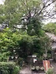 西行寺の建物その他