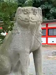 住吉神社の狛犬