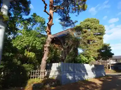 三条八幡宮(新潟県)