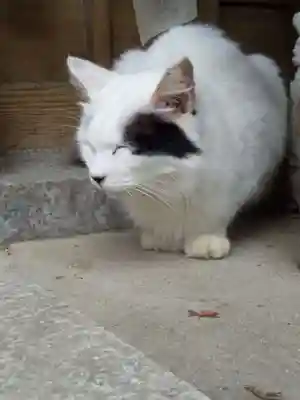 伏見豊川稲荷本宮(京都府)