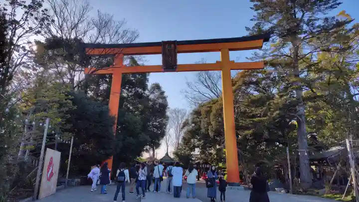 川越氷川神社(埼玉県)