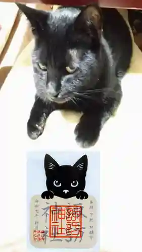 柏神社の御朱印