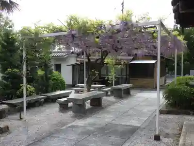 長寿寺の自然