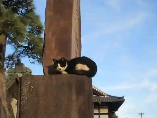 成田山新勝寺(千葉県)