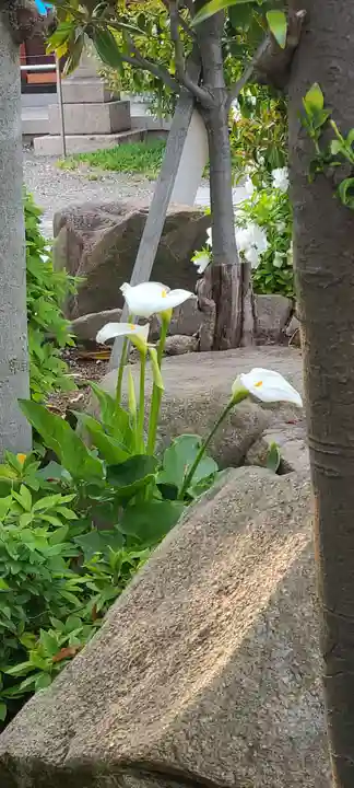 厄除の宮 駒林神社(兵庫県)