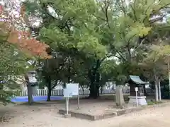 泊神社(兵庫県)