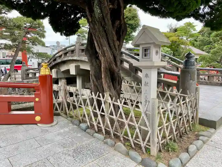 鶴岡八幡宮の自然