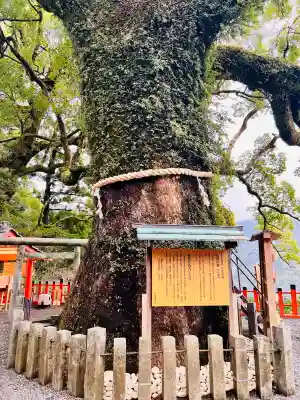 熊野那智大社(和歌山県)