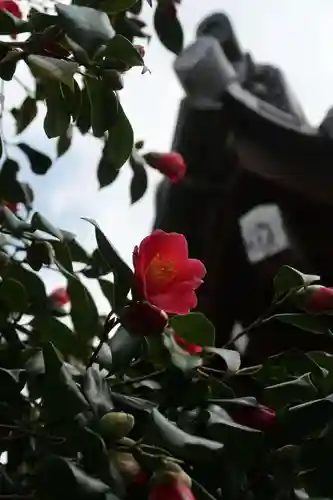 良福寺(奈良県)