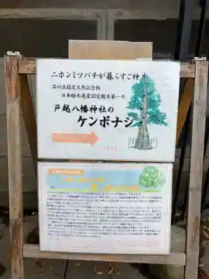 戸越八幡神社のその他建物