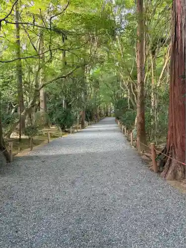 龍安寺(京都府)