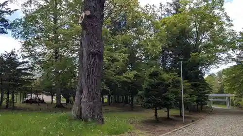 女満別神社の自然