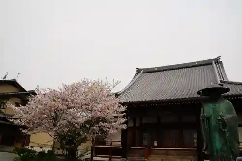 徳成寺の本殿・本堂
