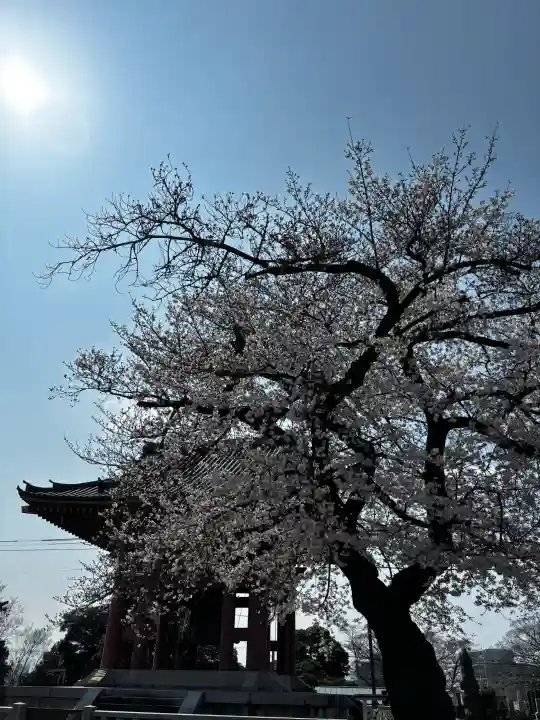 池上本門寺の{uncategorized: "未分類", other: "その他", undefined: "問題あり", building: "その他建物", grave: "お墓", sacred_gate: "鳥居", guardian: "狛犬", statue: "像", buddha: "仏像", history: "歴史", nature: "自然", garden: "庭園", animal: "動物", pagoda: "塔", temizu: "手水舎", mountain_gate: "山門・神門", sanctuary: "本殿・本堂", subordinate: "末社・摂社", art: "芸術", scenery: "景色", jizo: "地蔵", ema: "絵馬", goshuin: "御朱印", omikuji: "おみくじ", items: "授与品その他", amulet: "お守り", goshuincho: "御朱印帳", eats: "食事", festival: "お祭り", votive_dance: "神楽", shichigosan: "七五三参", wedding: "結婚式", experience: "体験その他", initially: "初詣", around: "周辺", anti_infection: "感染症対策"}