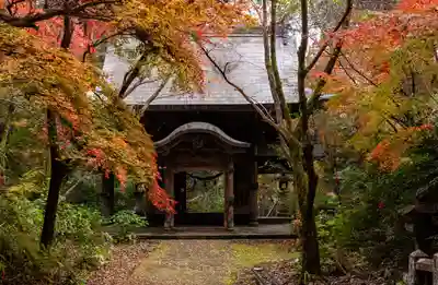 柞原八幡宮(大分県)